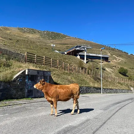 Le Modern & Mountain 2 Etoiles Apartment *